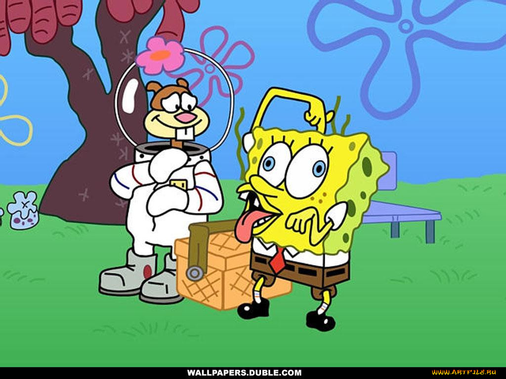 , spongebob, squarepants